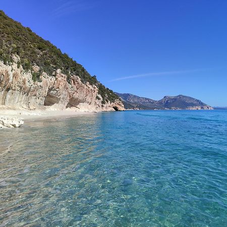 Appartamento A 50 Mt Dal Mare Cala Gonone Eksteriør bilde