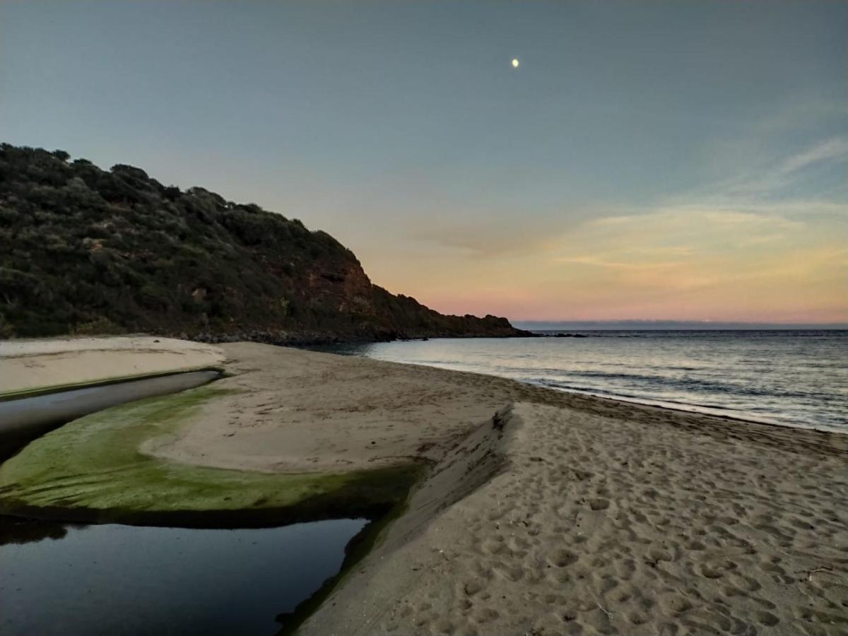 Appartamento A 50 Mt Dal Mare Cala Gonone Eksteriør bilde
