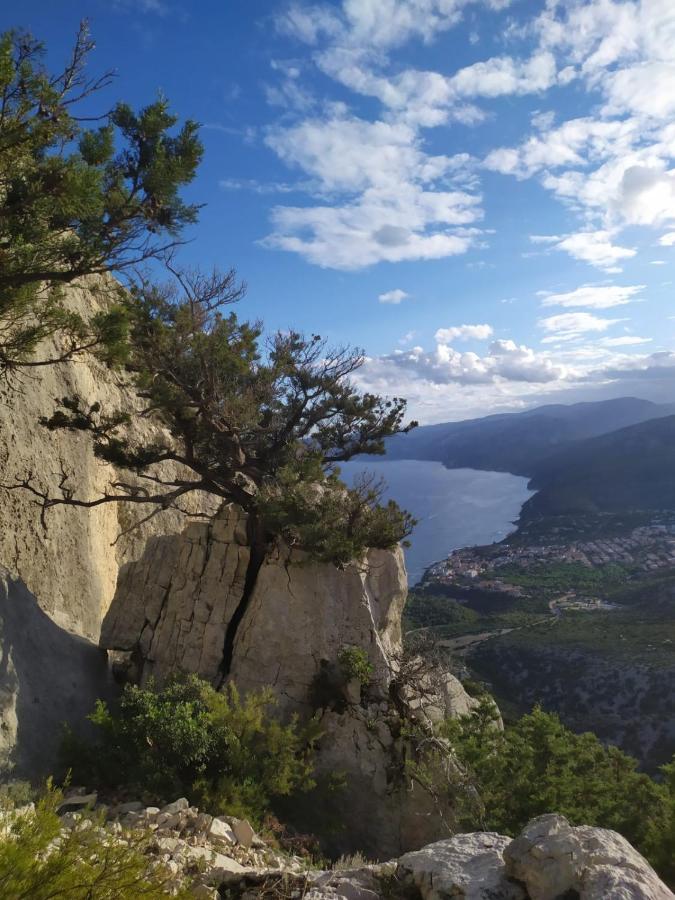 Appartamento A 50 Mt Dal Mare Cala Gonone Eksteriør bilde